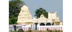 249. திருஇலம்பையம் கோட்டூர்